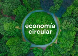 Economía circular y sostenibilidad
